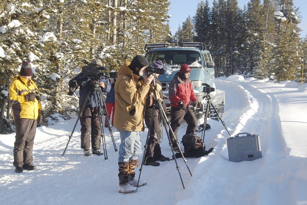 Yellowstone Expeditions Yurt Camp